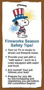 Snoopy July 4th Safety Tips