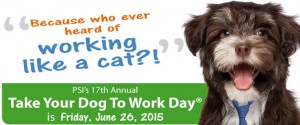 Take your Dog to Work 2015