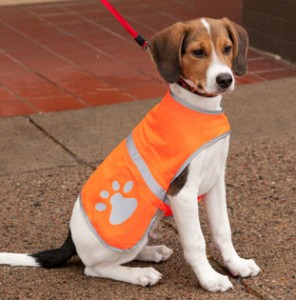 Reflective Dog Vest