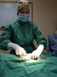 Doctor Caspary Operation 2