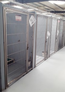 kennels