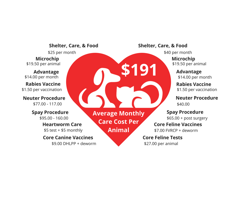 Core Care Costs graphic - DM