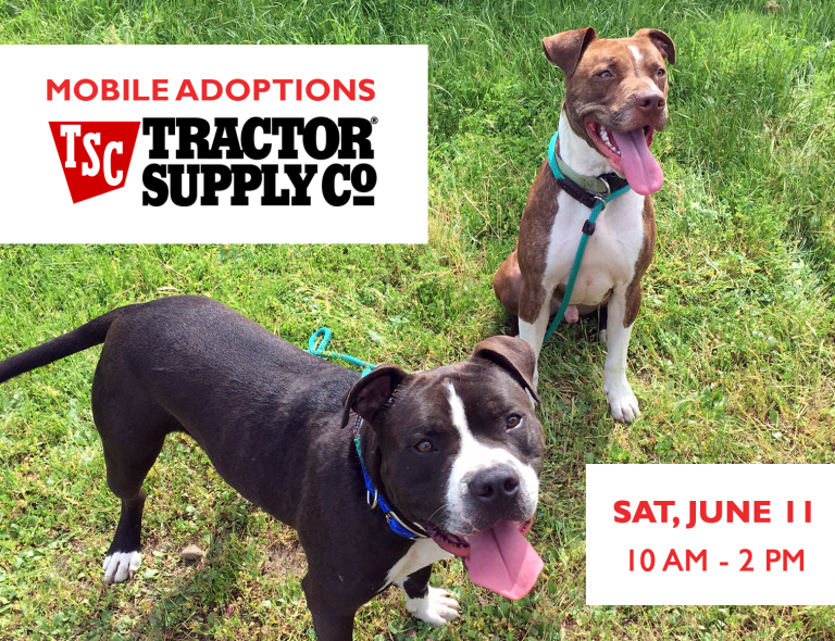 Mobile Adoptions Tractor Supply