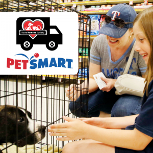 mobile adoptions petsmart