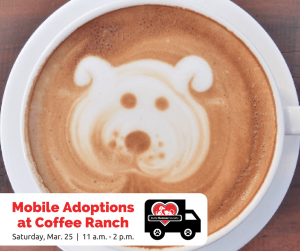 mobile-adoptions-coffee-ranch