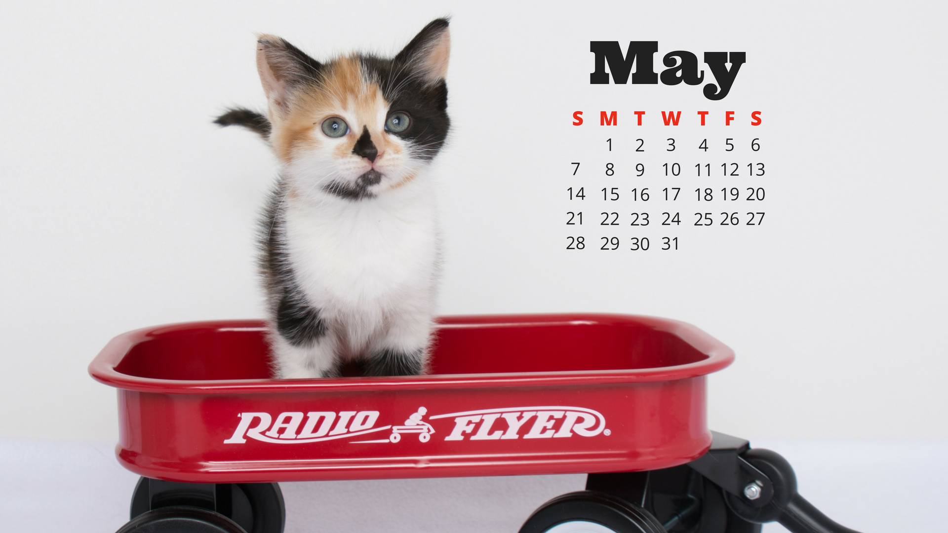may-cat-calendar