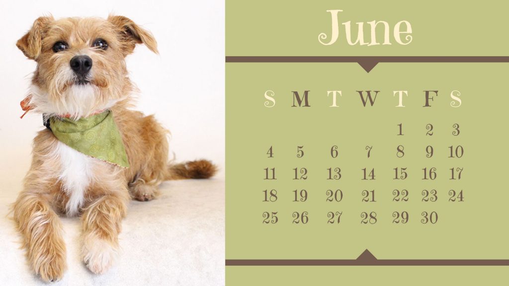 june-dog-calendar