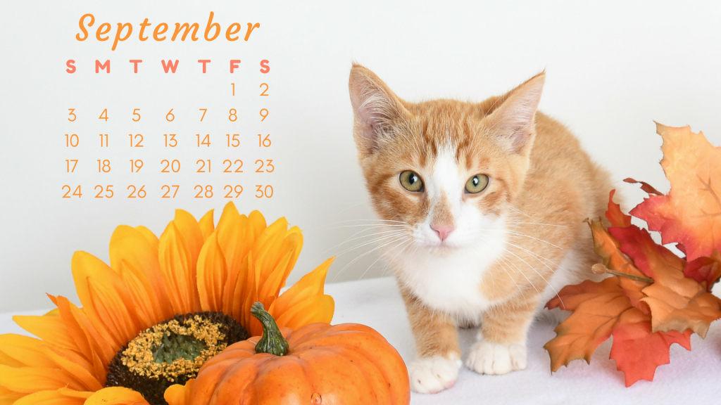 September Calendar_Austin