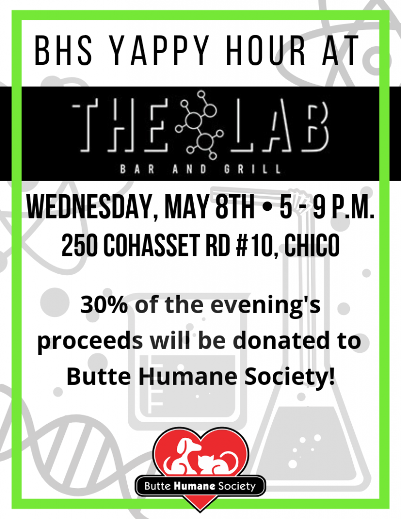 Yappy Hour The Lab Bar & Grill