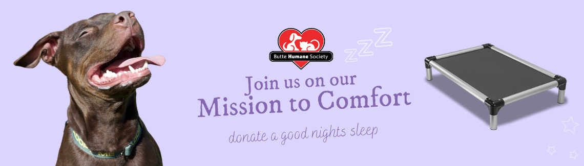 Mission to Comfort: Kuranda Bed Donation Drive