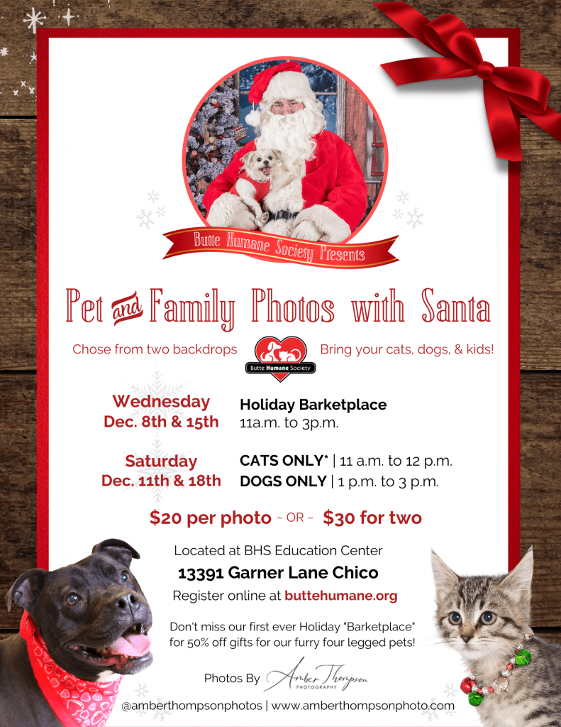 2021 Butte Humane Society Event Pet and Family Photos with Santa flyer with a wooden background and two photos of a cat and christmas dog