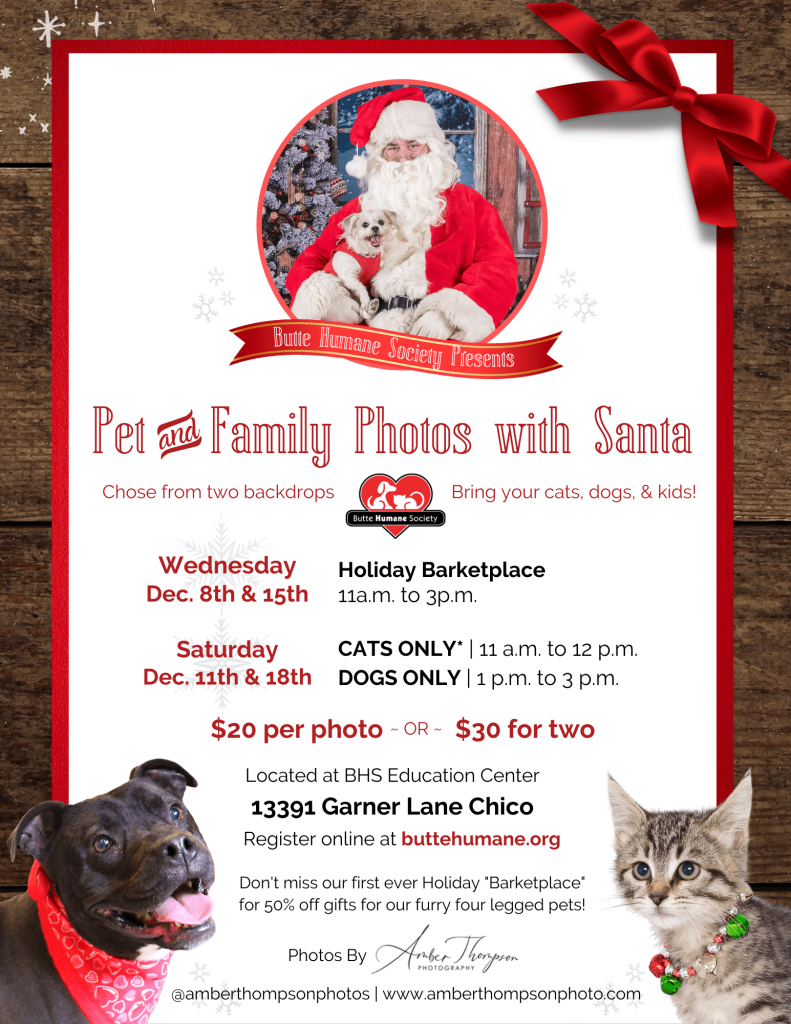 Pet and Family Photos with Santa 2021