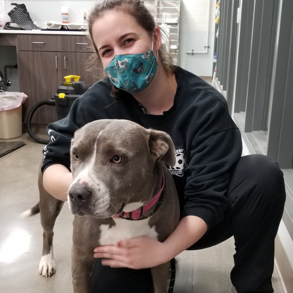 Butte Humane Society Low Cost Vet Clinic in Chico CA