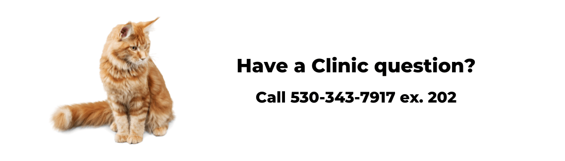 Chico, CA veterinarian-Butte Humane Society-Clinic-phone-number
