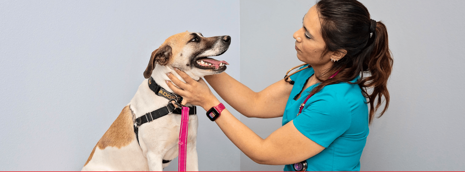 Butte Humane Society Clinic staff with dog doing an exam