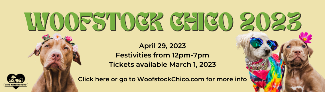 Woofstock Chico 2023