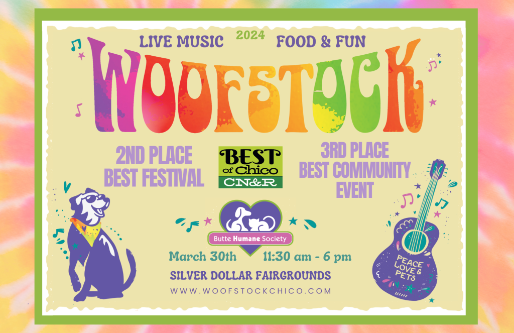 Woofstock 2024! Live Music Food & Fun