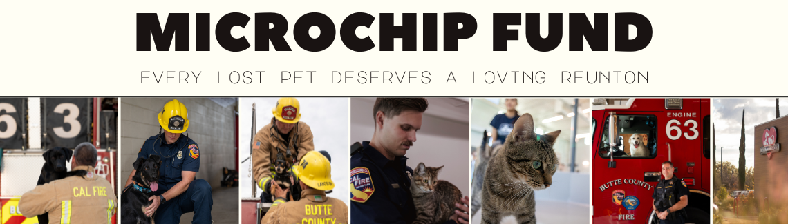 Microchip Fund