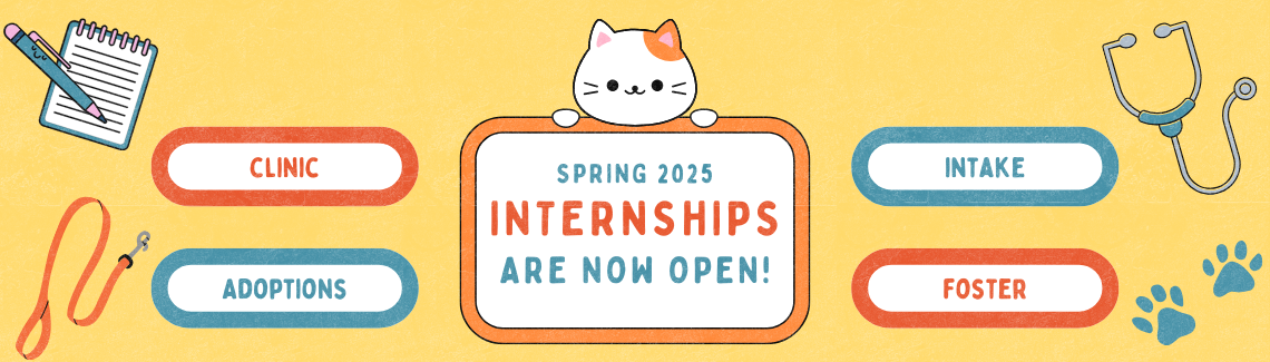 spring internships