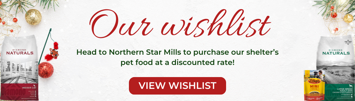 northern star mills