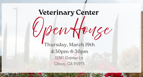 Veterinary Center Open House