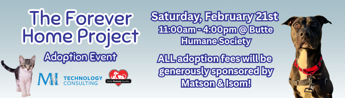 The Forever Home Project