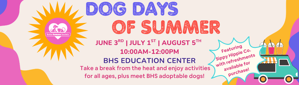 Dog Days of Summer
