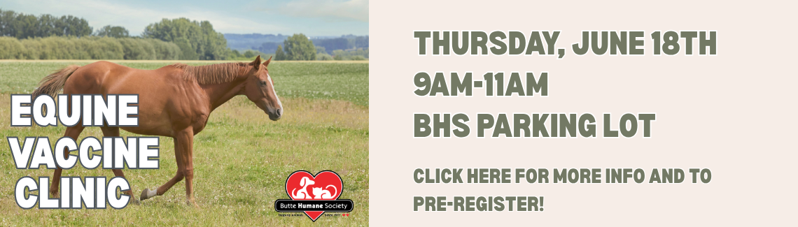 Equine Vaccine Clinic