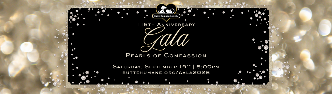Gala 2026